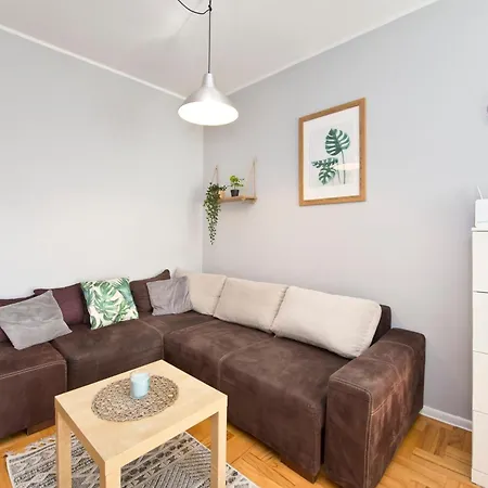 Seagull Spot Abrahama