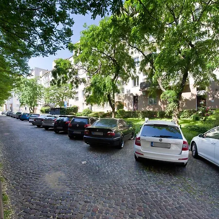 Seagull Spot Abrahama * Gdynia