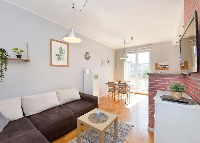 Seagull Spot Abrahama *