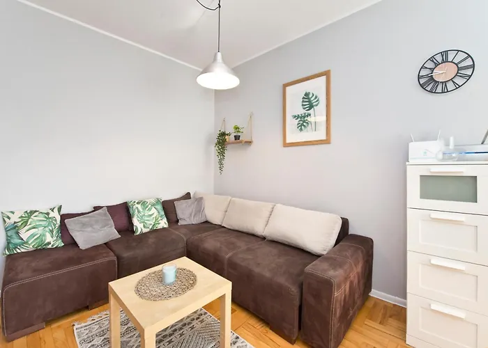 Seagull Spot Abrahama