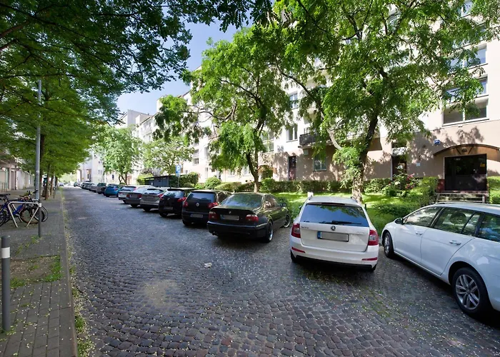 Seagull Spot Abrahama * Γκντίνια