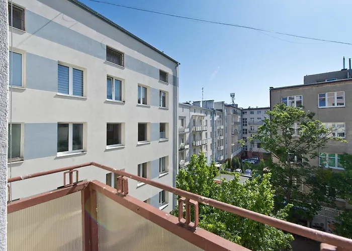 Seagull Spot Abrahama * Γκντίνια