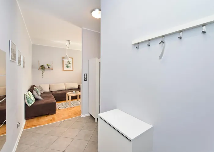 Seagull Spot Abrahama